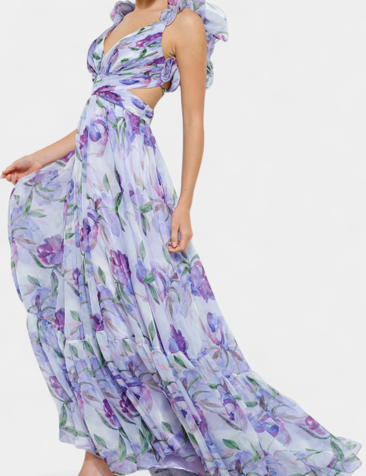 Shazia Vestido Largo Estampado Sin Espalda